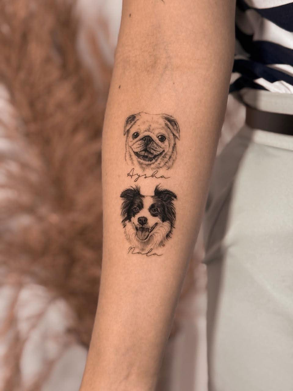 Pets em realismo 