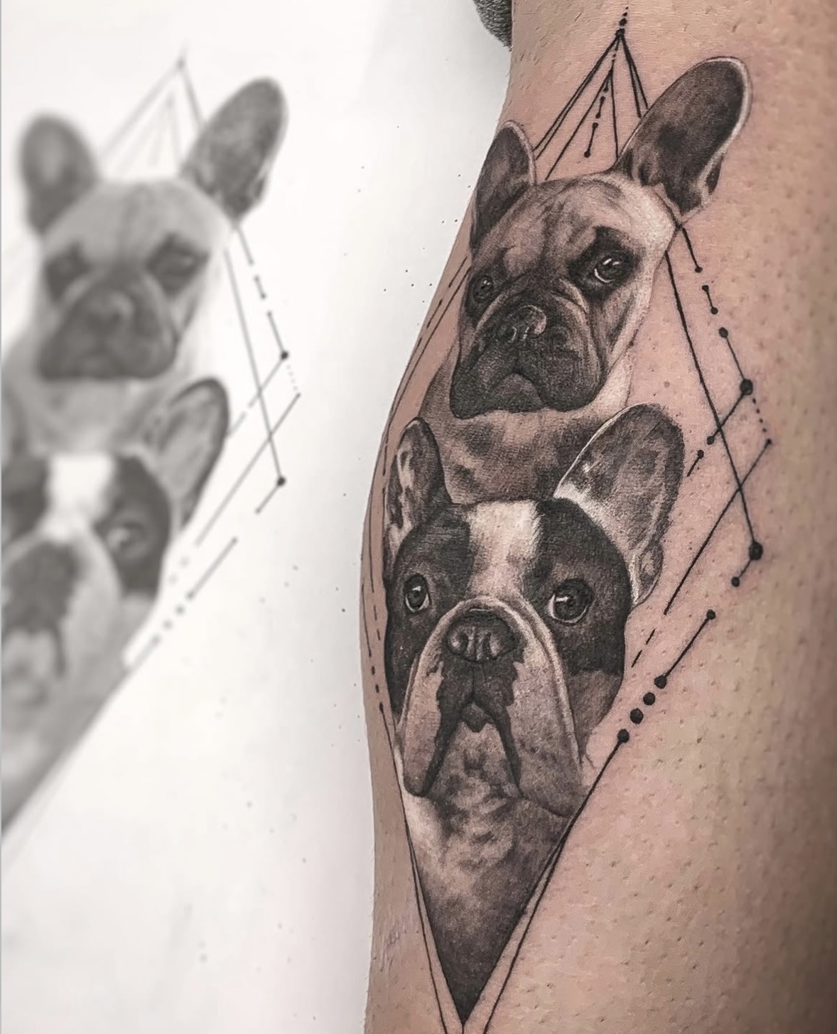Pets em realismo com geometria