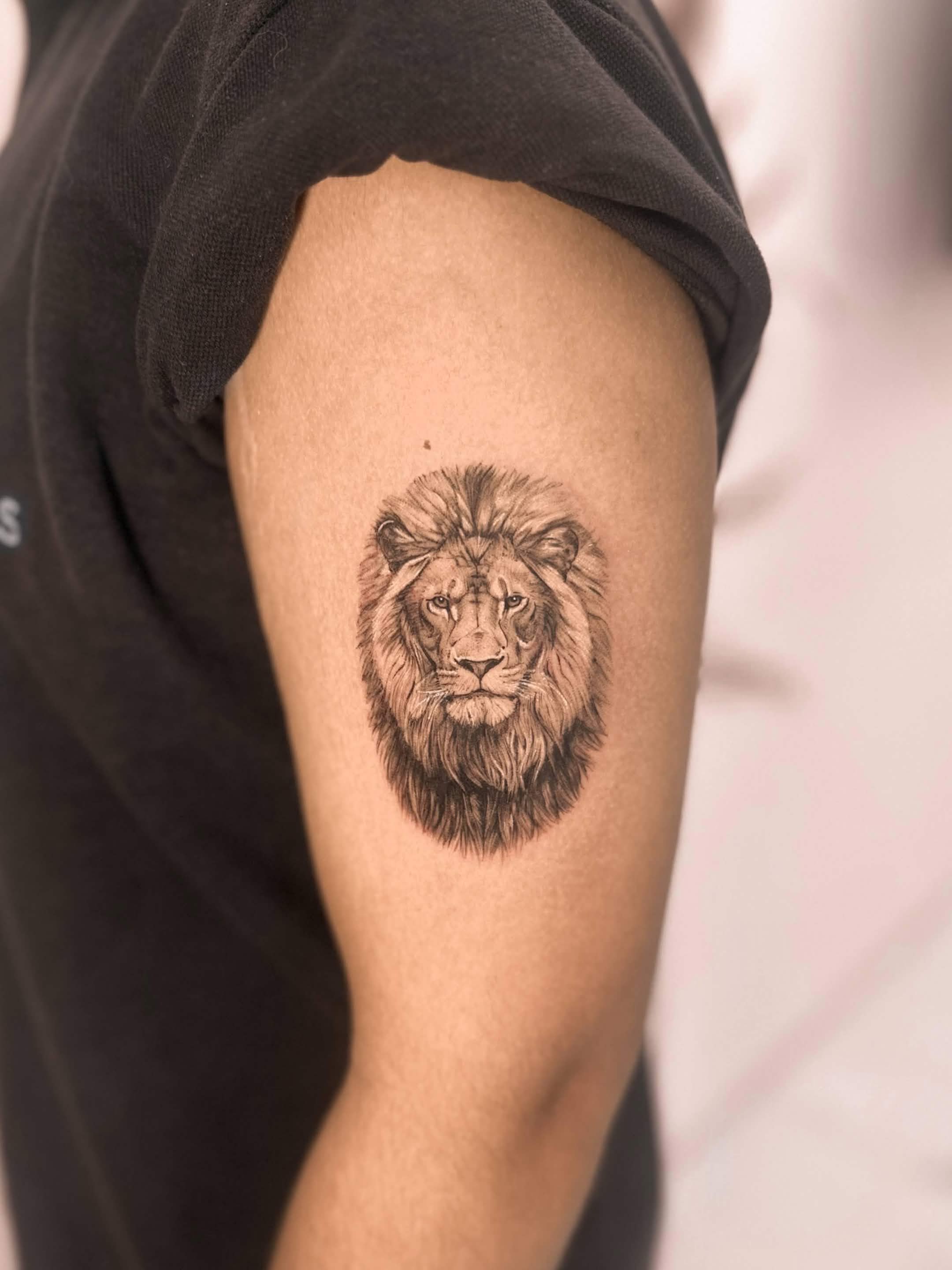 Leao realista minimalista