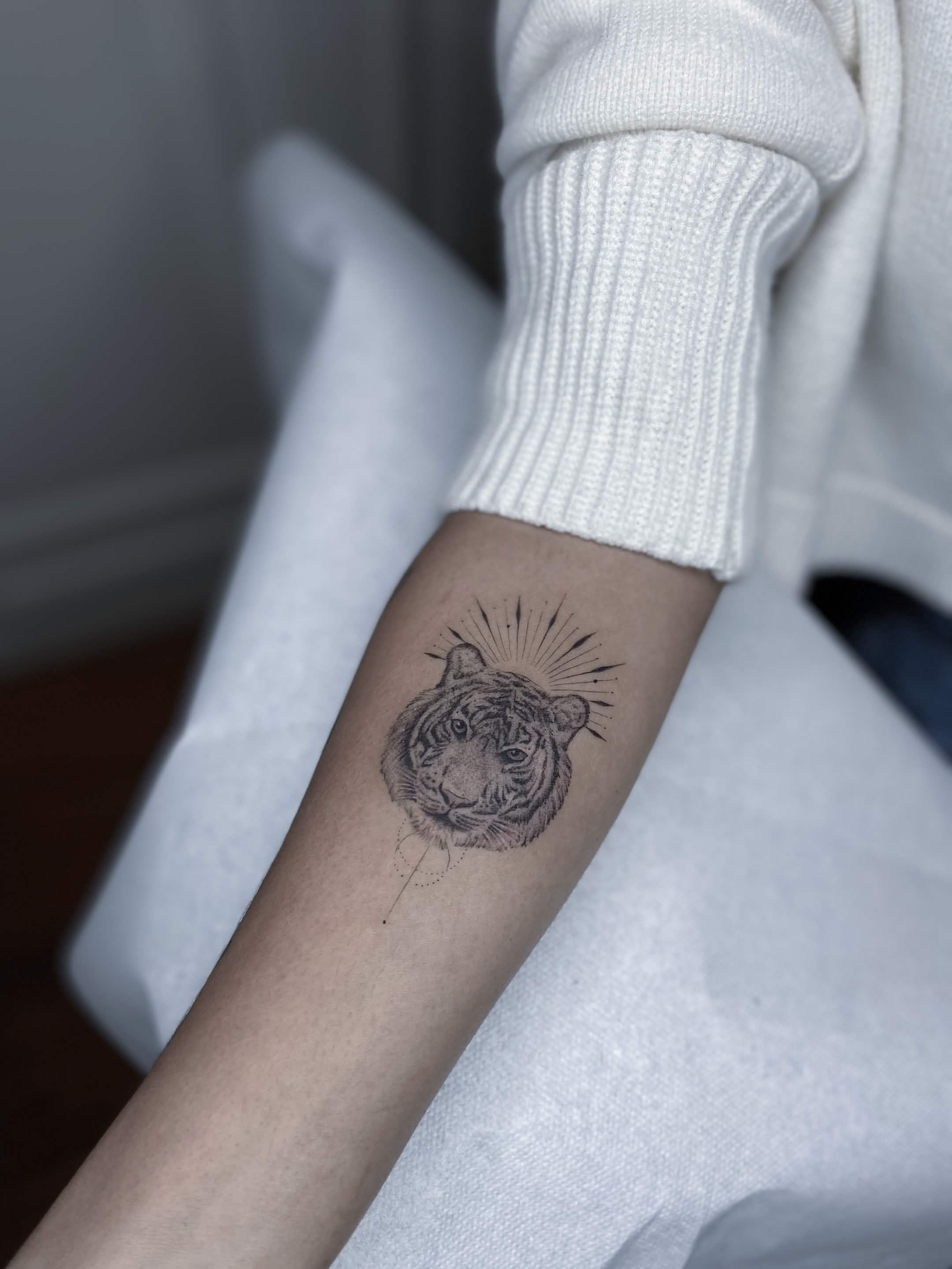 Fine line Tiger